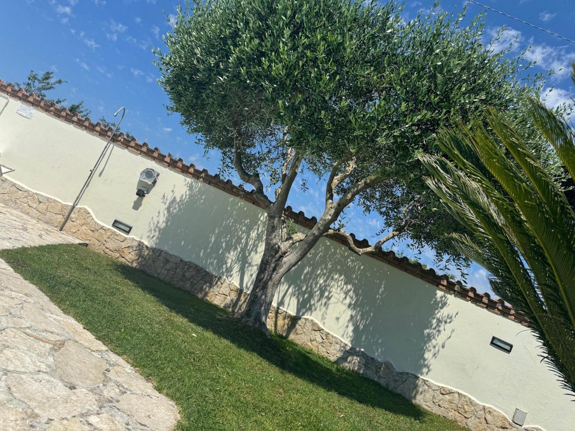 Gold House Luxury Anzio Villa Exterior photo
